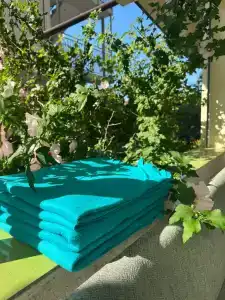 Родничок - 4