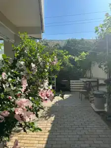 Родничок - 5