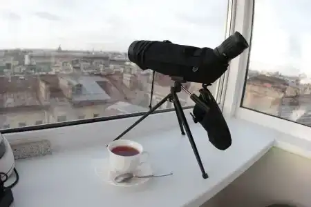 Мансарда - 12