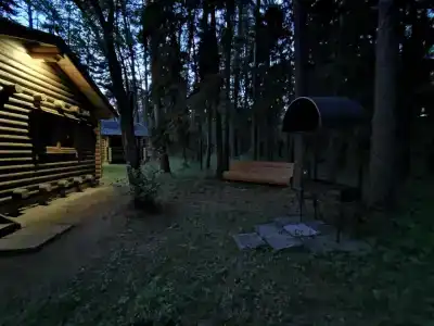 Тихий Лес - 3