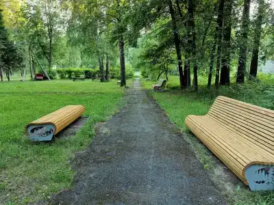 Тихий Лес - 4