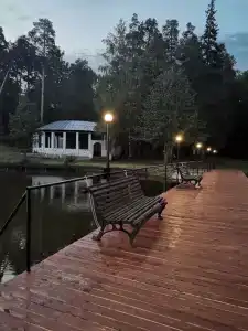 Тихий Лес - 8