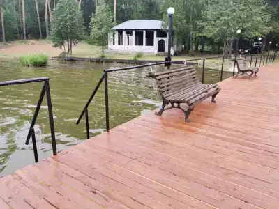 Тихий Лес - 11