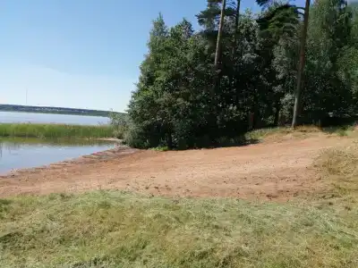 Тихий Лес - 12