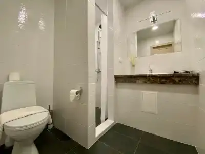 Статлер - 6