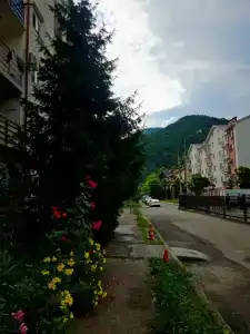 Golden Holiday - 1