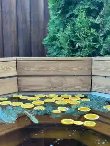 Прованс де Люкс - 13