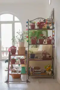 Солнечный дом - 13