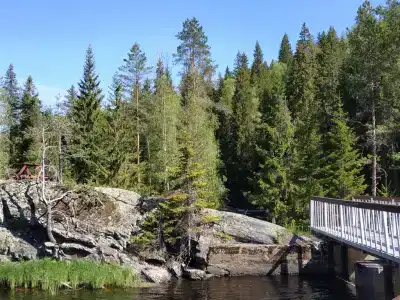Хекселя - 12