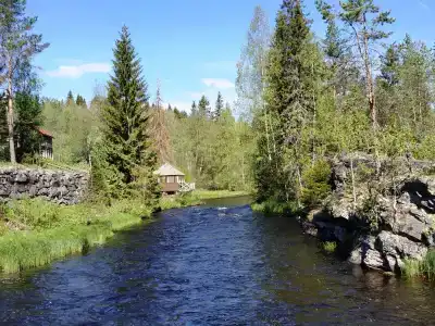 Хекселя - 13