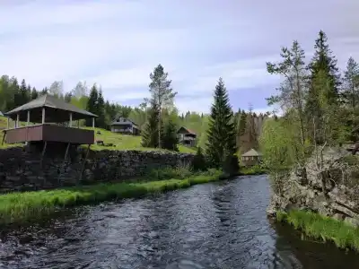 Хекселя - 10
