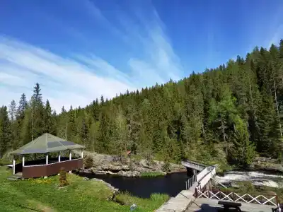 Хекселя - 17