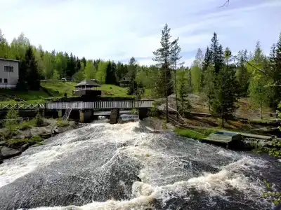 Хекселя - 15