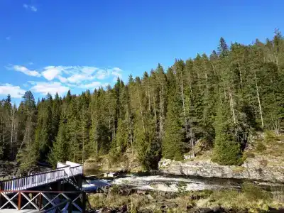 Хекселя - 19