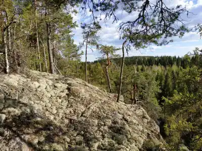 Хекселя - 23