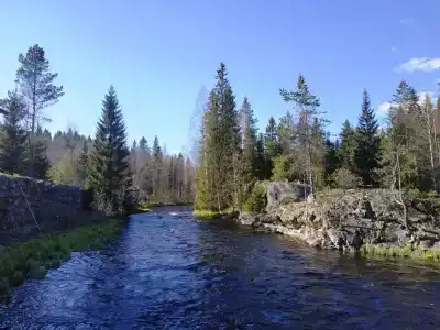 Хекселя - 22
