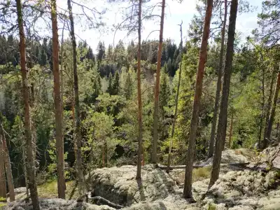 Хекселя - 21