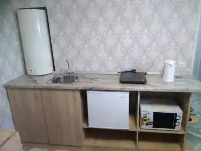 Сенполия - 21
