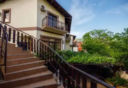 House Loris - 1