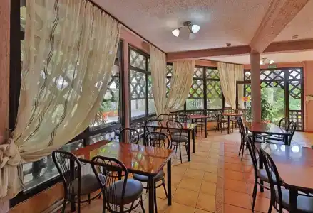 House Loris - 19