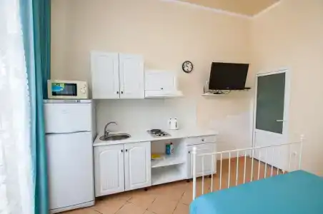Астра - 13