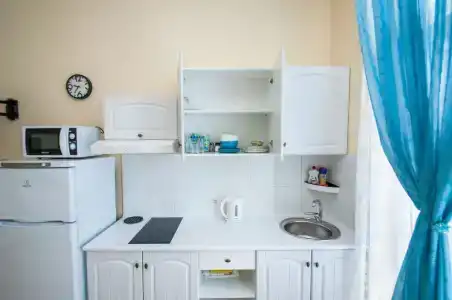 Астра - 24