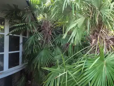 Гостевой Дом в Мисхоре - 52