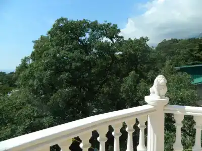 Гостевой Дом в Мисхоре - 63