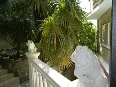 Гостевой Дом в Мисхоре - 85