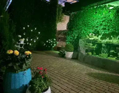 Галла-Мария - 10