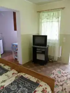 Цветущий дворик - 44