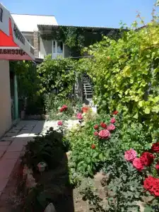 Цветущий дворик - 57