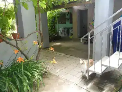 Цветущий дворик - 58