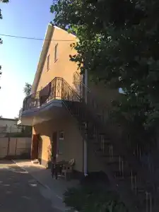 Калина красная - 6