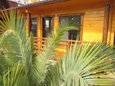 Олимпийский Парк - 0