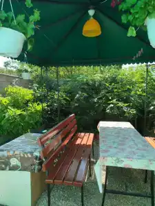 Гостевой домик на Геологическом 8 - 29