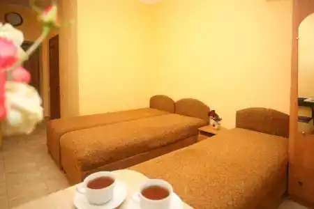 Светлана - 31