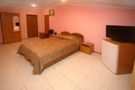 Светлана - 43