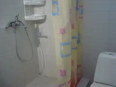 Светлана - 57