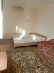 Кипарис - 6
