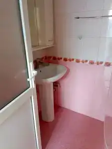 Кипарис - 11