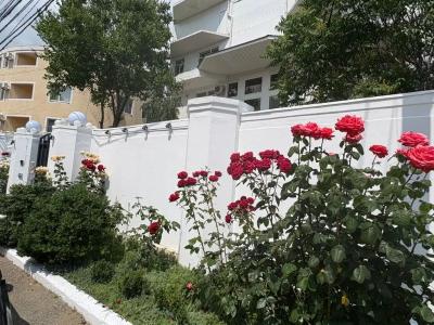 Аморе Фаворит - 6