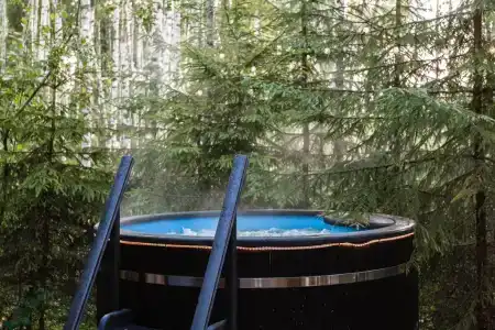 Синяя птица - 2