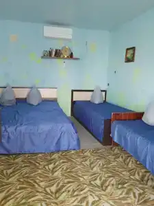 Магема - 23