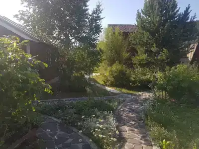 Берег Байкала - 2