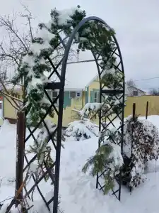 Калинова Горка - 18