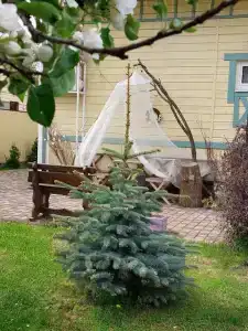 Калинова Горка - 12
