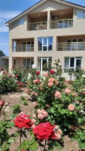 Солнечный - 0