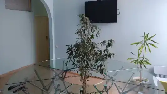 Тарлеон - 4