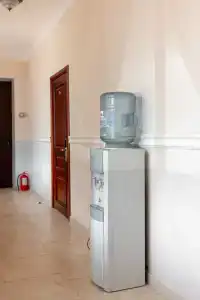 Арт - 6